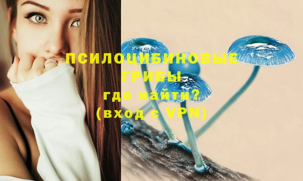 mix Армянск