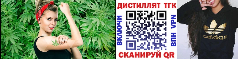 магазин продажи   Магадан  Дистиллят ТГК гашишное масло 