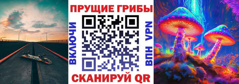 Псилоцибиновые грибы MAGIC MUSHROOMS  наркота  Магадан 